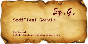 Szélesi Godvin névjegykártya
